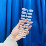 ⁦كارت اظافر شي ان ابيض 🤍⁩ - الصورة ⁦2⁩