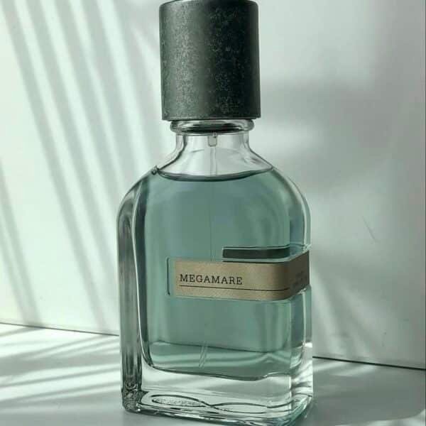 برفيوم ميجامير ✨