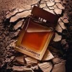 ⁦The One Dolce & Gabbana ✨⁩ - الصورة ⁦2⁩