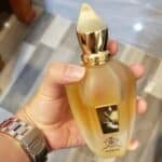 ⁦XJ 1861 Naxos Xerjoff. ✨⁩ - الصورة ⁦2⁩