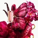 ⁦لابومبا ✨🩷⁩ - الصورة ⁦3⁩