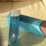 ويلد كولد 200مل ماستر بوكس ✨🩵