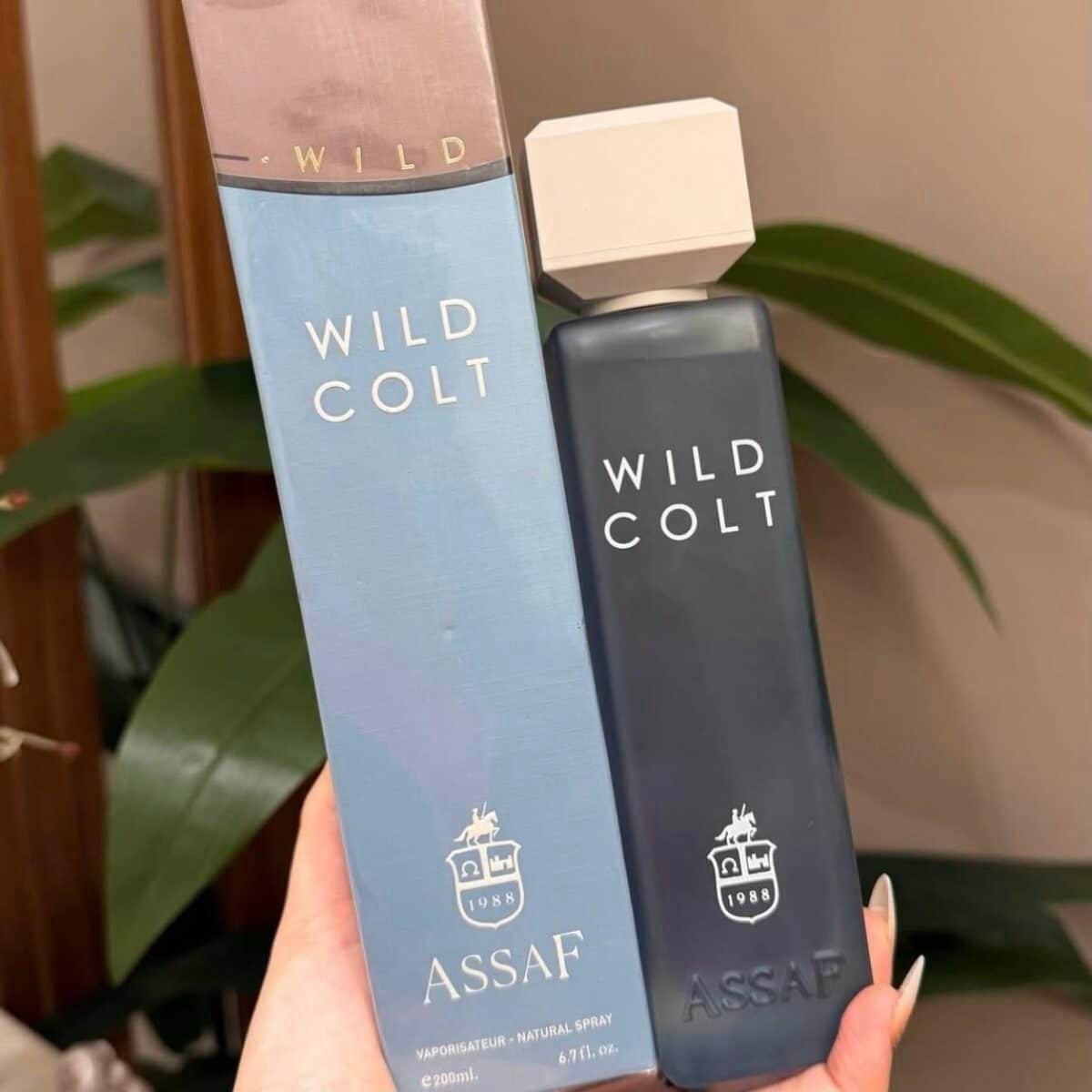 ⁦ويلد كولد 200مل ماستر بوكس ✨🩵⁩ - الصورة ⁦2⁩